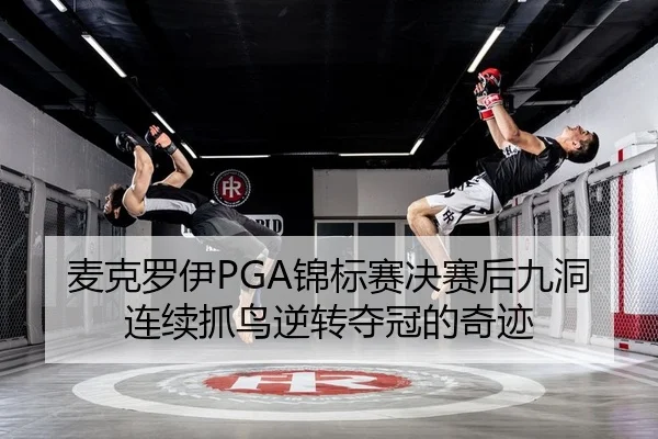 mai-ke-luo-yi-jin-biao-sai-jue-sai-hou-jiu-dong-lian-xu-zhua-niao-ni-zhuan-duo-guan-de-qi-ji-2-123.jpg
